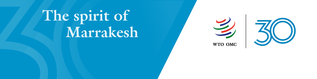 Thirteenth WTO Ministerial Conference