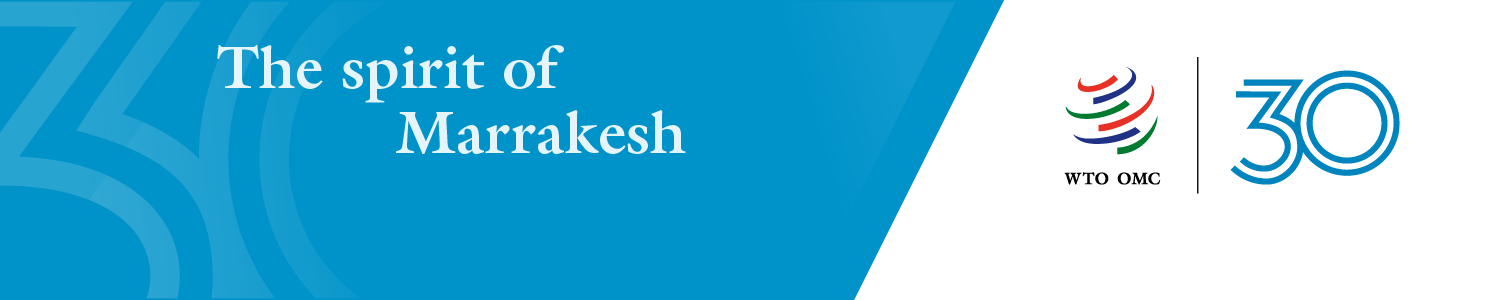 Thirteenth WTO Ministerial Conference