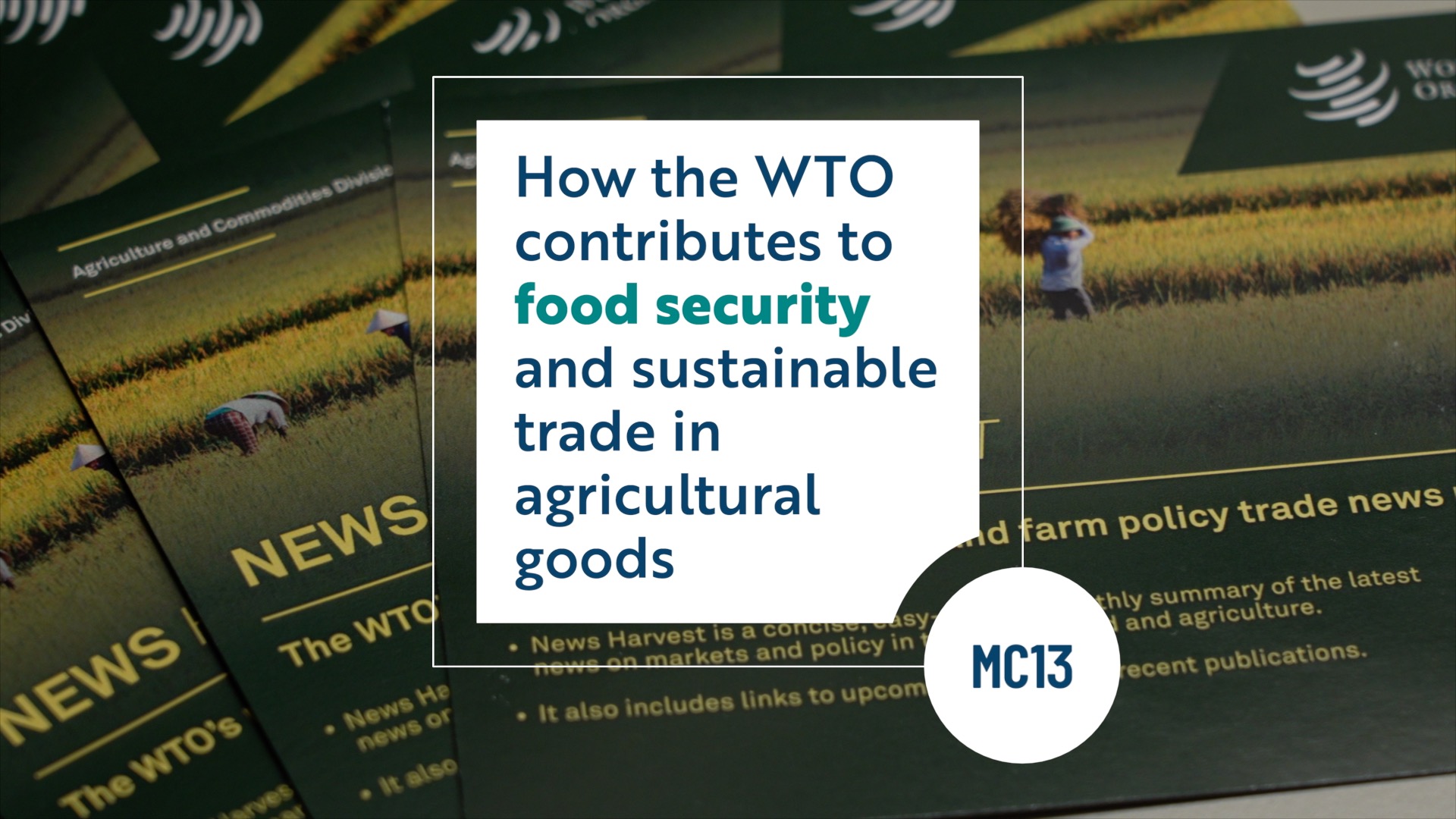 Road to MC13: Updates on food security and agriculture negotiations